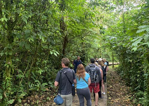 2-in-1-best-of-la-fortuna-one-with-nature-rain-forest-hike
