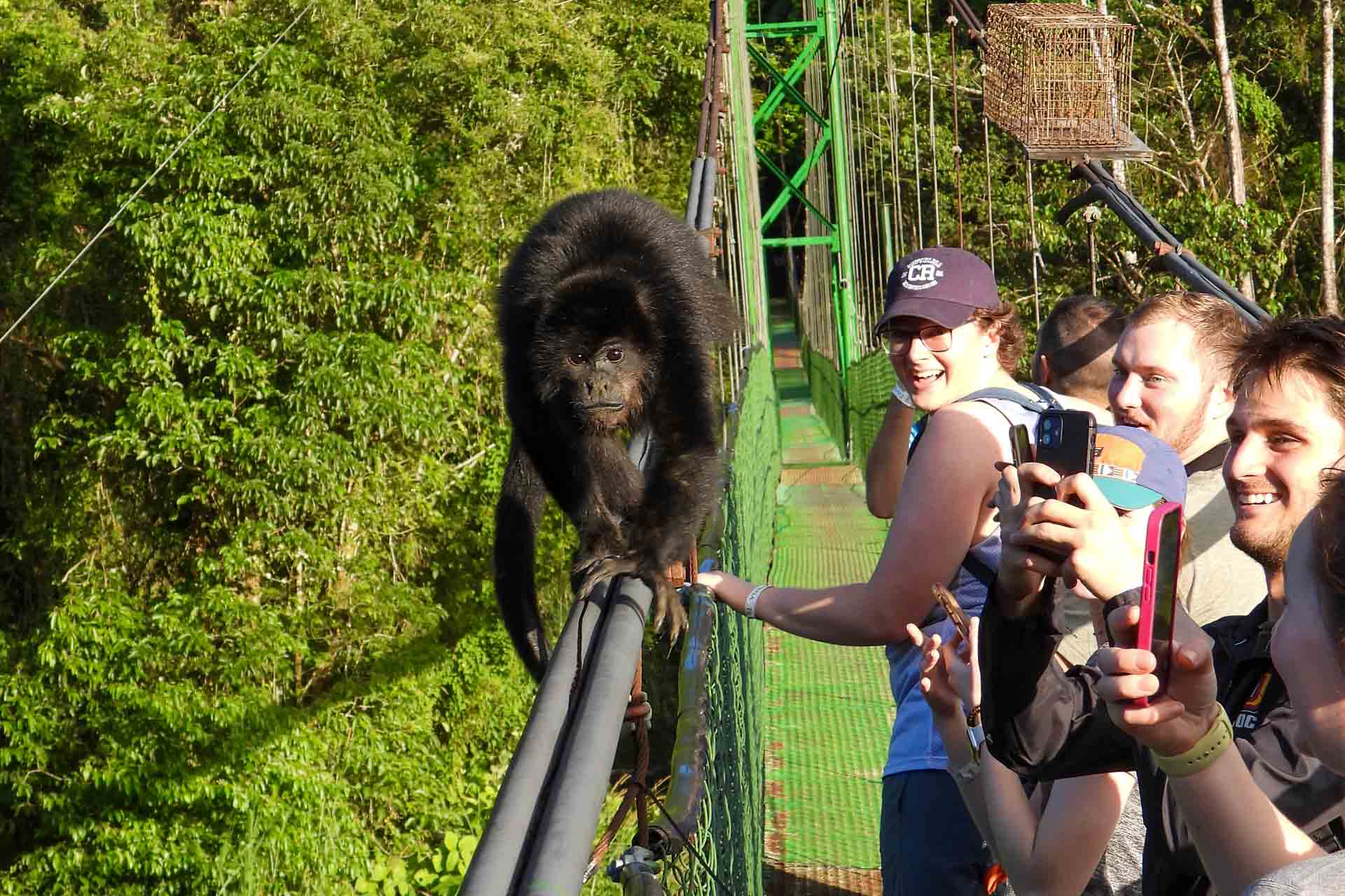 One-with-nature-costa-rica-arenal-volcano.hanging-bridges-04